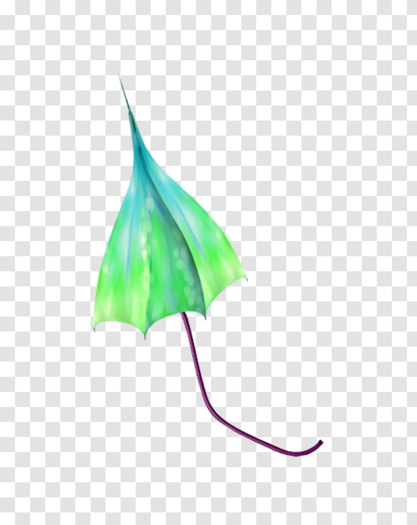 Leaf Line - Design Transparent PNG