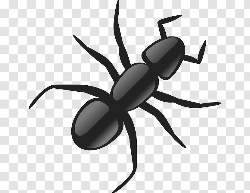 Black Garden Ant Clip Art - Artwork - Cartoon Bugs Transparent PNG