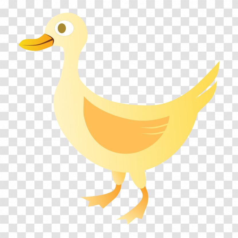 Bird Duck Water Beak Ducks, Geese And Swans - Waterfowl Goose Transparent PNG