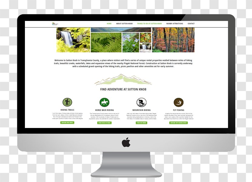 Website Development Web Design Page World Wide Hosting Service - Business Transparent PNG