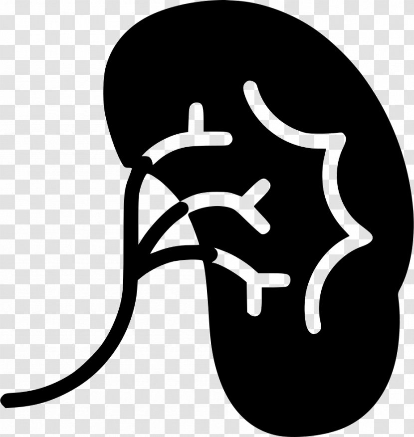 Kidney Medicine Clip Art - Logo - Urologist Transparent PNG