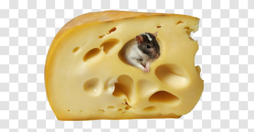 Hot Dog Macaroni And Cheese Sandwich Cheesecake Cheeseburger Transparent PNG
