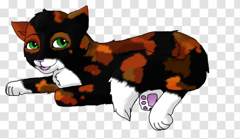 Whiskers Cat Tigerstar Transparent PNG