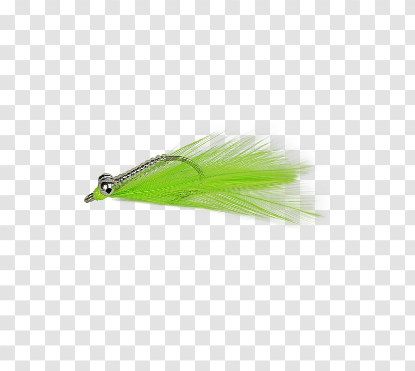 Fishing Baits & Lures - Wing Transparent PNG