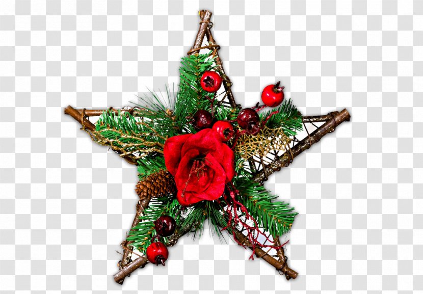 Christmas Tree Star Of Bethlehem Ornament Clip Art - Pine Family Transparent PNG