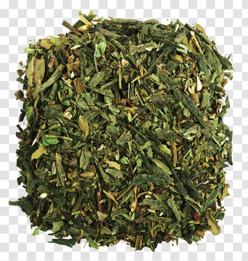 Green Tea Pu'er Teaware Plant - Tableware Transparent PNG