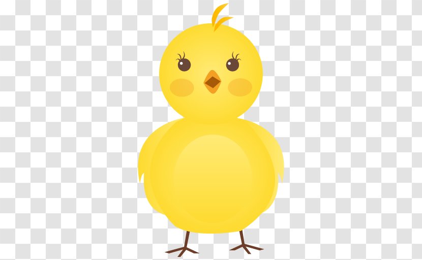 Chicken Bird Duck Clip Art - Idea - Pictures Icon Transparent PNG