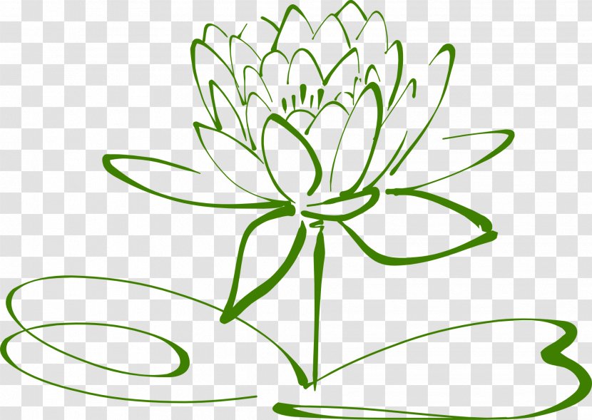 Clip Art Drawing Sacred Lotus Image - Blossoms Outline Transparent PNG