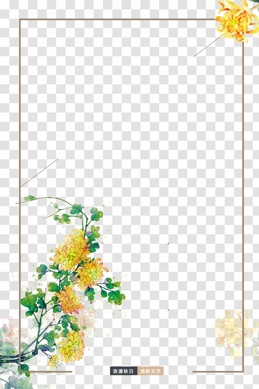 Chrysanthemum Flower Icon - Border - Borders Transparent PNG
