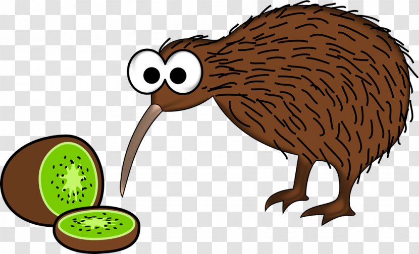 New Zealand Bird Little Spotted Kiwi Common Ostrich - Kiwifruit Transparent PNG