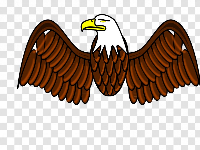 Bald Eagle Clip Art - Bird Of Prey - Wings Transparent PNG