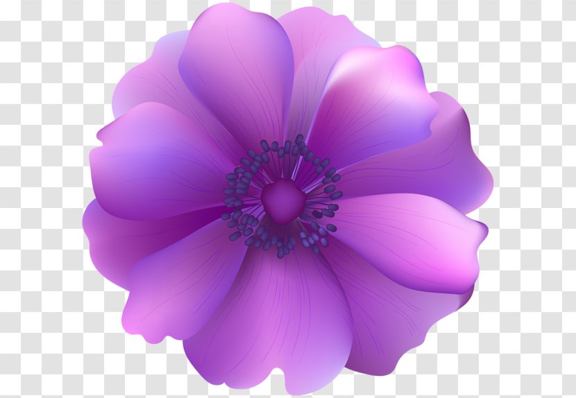 Flower Purple Clip Art Transparent PNG