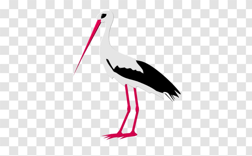 White Stork Clip Art Bird Beak Vector Graphics - Crane Transparent PNG