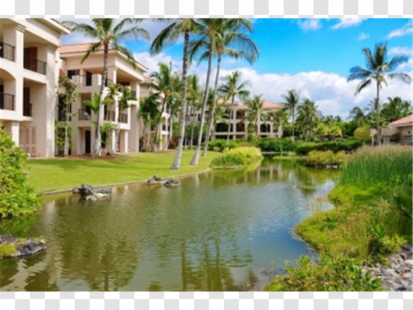 Waikoloa Village Waimea Resort Aston Shores At Waikiki - Leisure - Hotel Transparent PNG