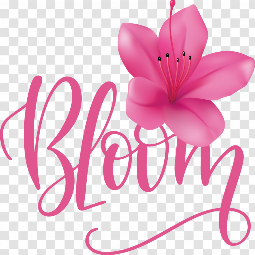 Bloom Spring Transparent PNG