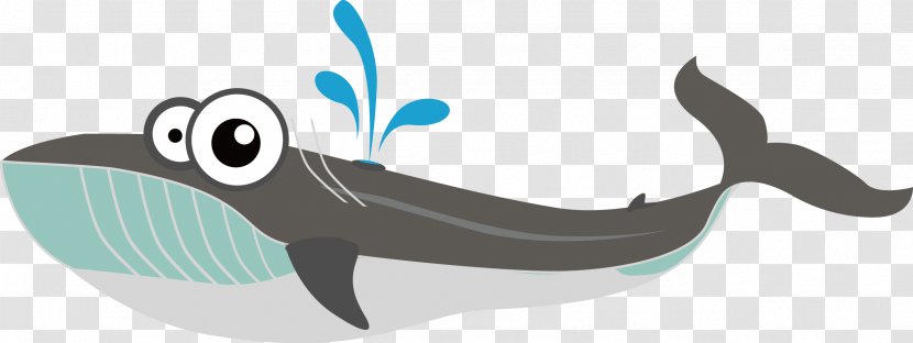 Baleen Whale Euclidean Vector - Raster Graphics Transparent PNG