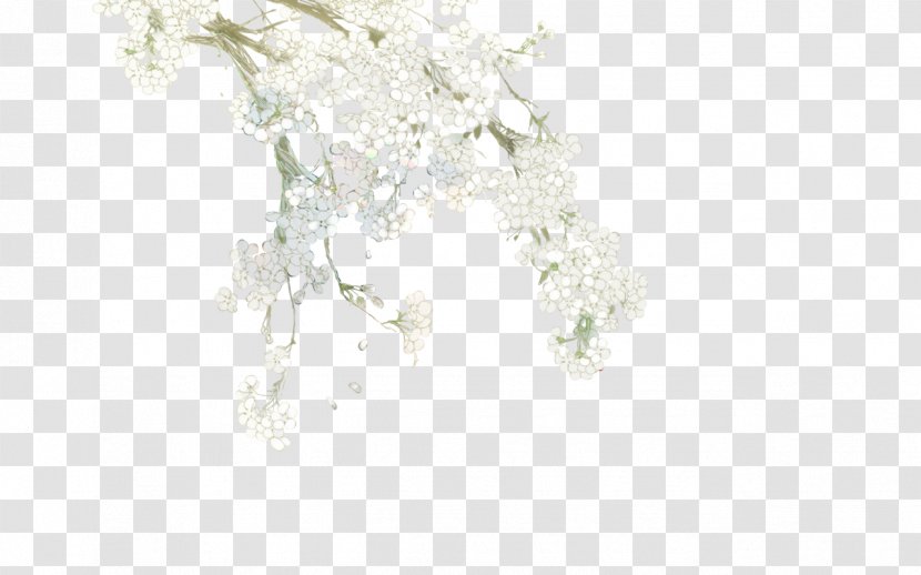White Flower - Rectangle - Flowers Transparent PNG
