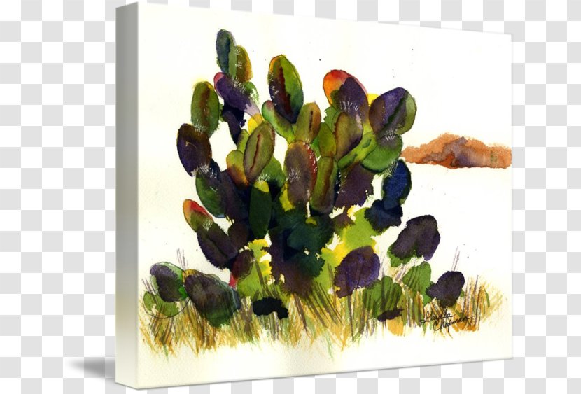 Cactaceae Watercolor Painting Imagekind Printmaking - Abstract Art - Succulent Transparent PNG