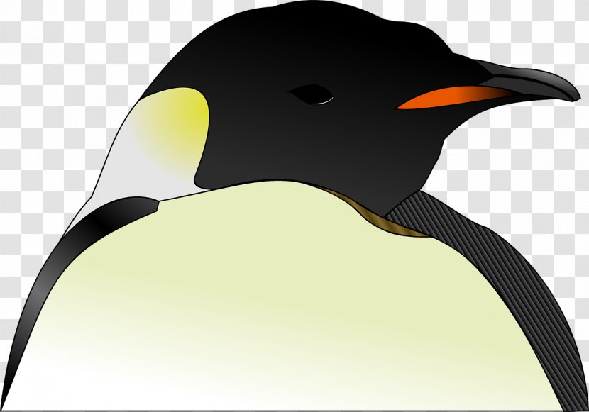 Penguin Clip Art - Beak - Ping Pong Transparent PNG