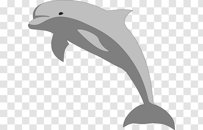 Bottlenose Dolphin Clip Art - Tail Transparent PNG