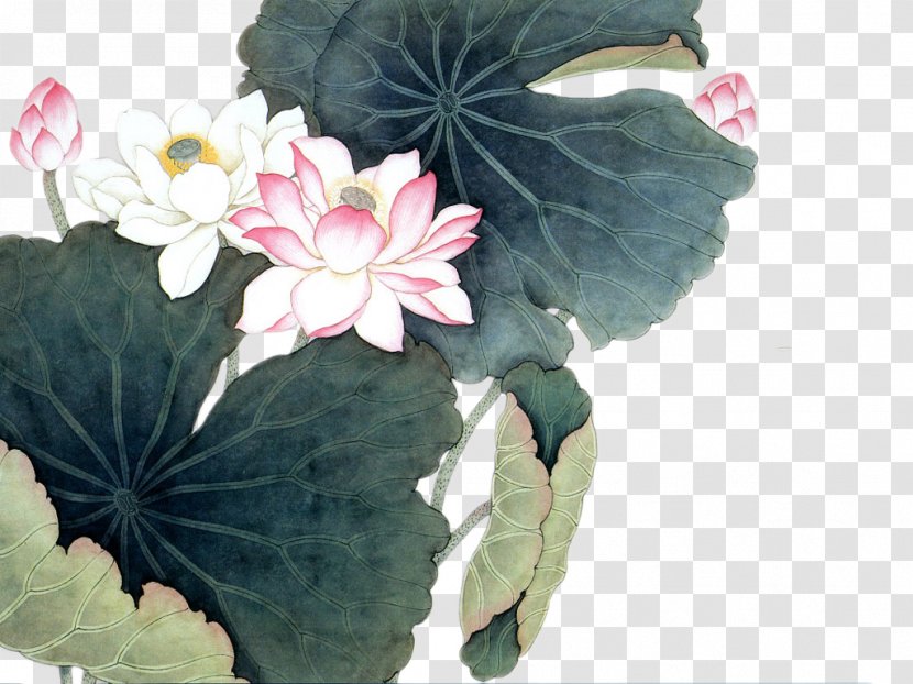 Nelumbo Nucifera Chinese Painting Art - Flowerpot - Ink Style Lotus And Leaf Transparent PNG
