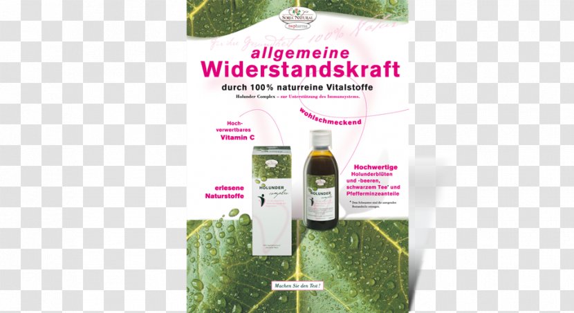 Herbalism Product - Catering Flyer Transparent PNG