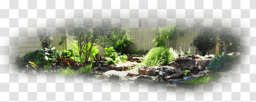 Landscape Design Landscaping Irrigation Lawn - Plant Community - Fence Transparent PNG