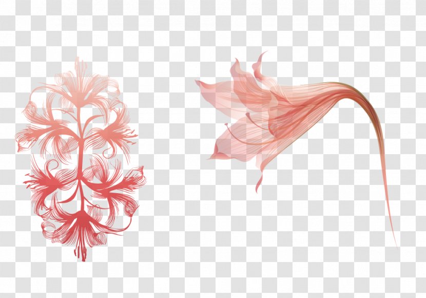 Flower - Pink - Vector Material Bouquet Transparent PNG