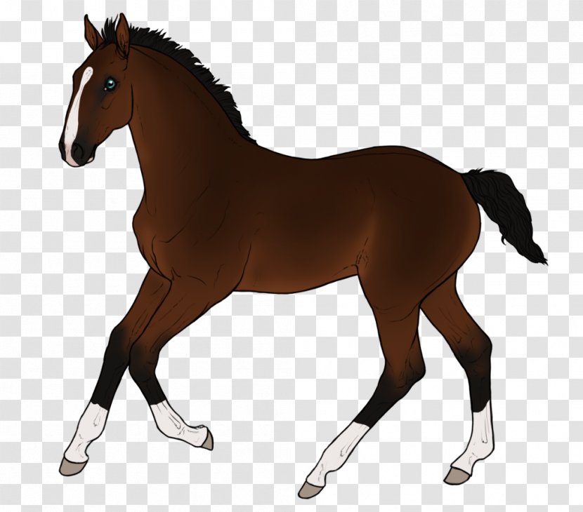 Mustang Hanoverian Horse Foal Stallion Mare - Chestnut - Deal With God Transparent PNG