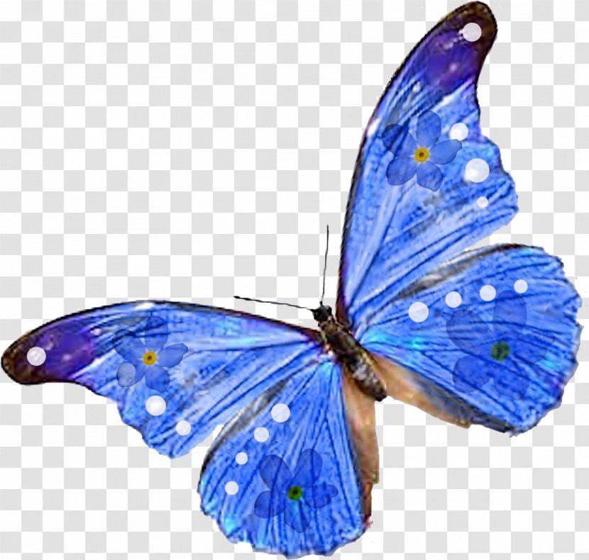 Butterfly Insect Desktop Wallpaper Clip Art - Drawing Transparent PNG