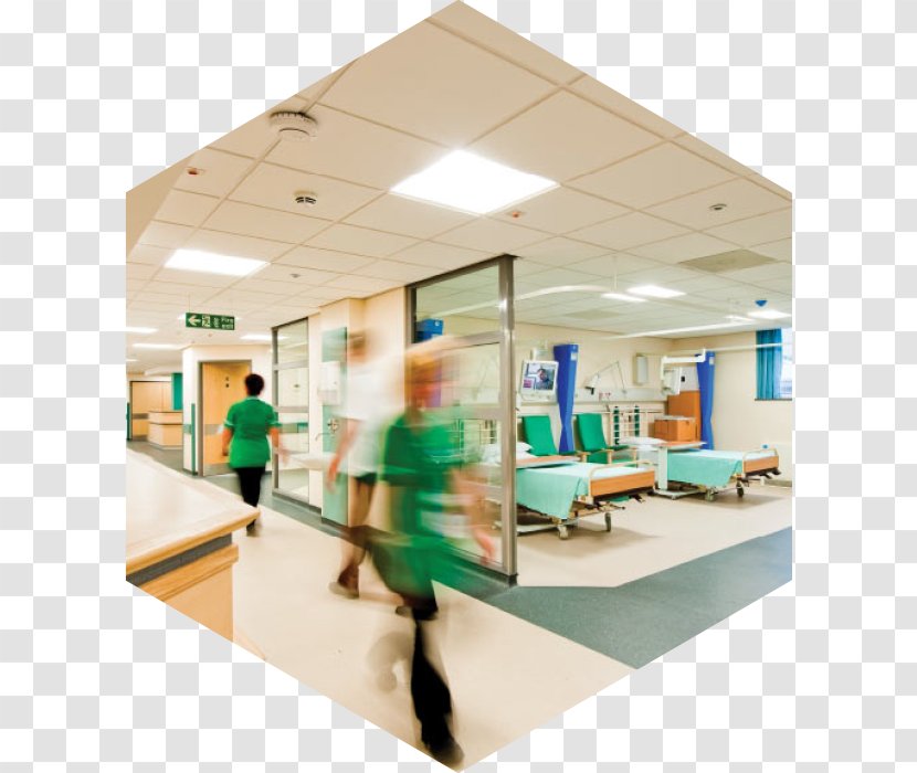 Hospital Health Care Nursing Patient Clinic - Insurance - Golden Spiral Transparent PNG