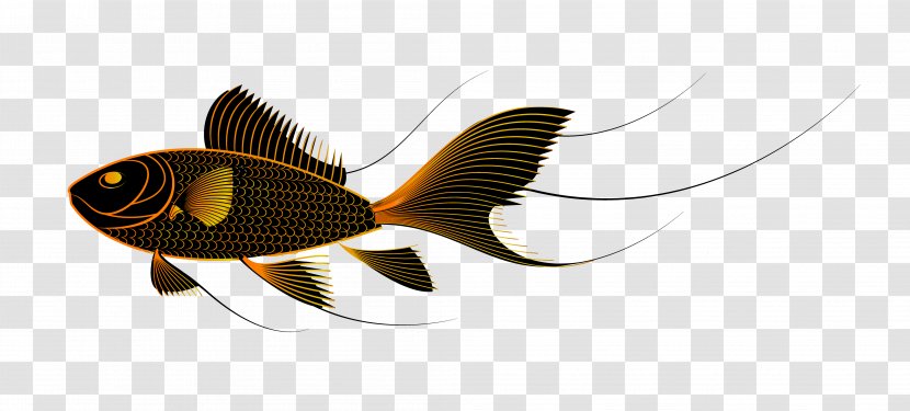 Goldfish Clip Art - Pollinator - Cute Black Fish Transparent PNG