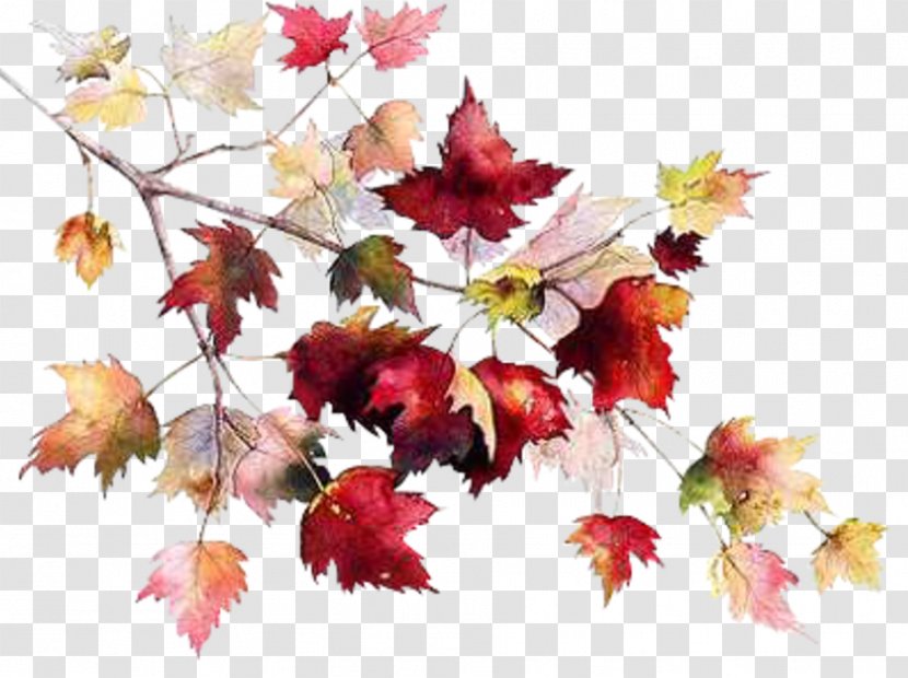 Autumn Leaf Color China Glaze Drawing Image Transparent PNG