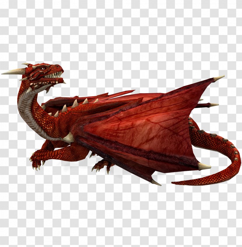 Dragon Legendary Creature Photography - How To Train Your - Free Red Domineering Pull The Material Transparent PNG
