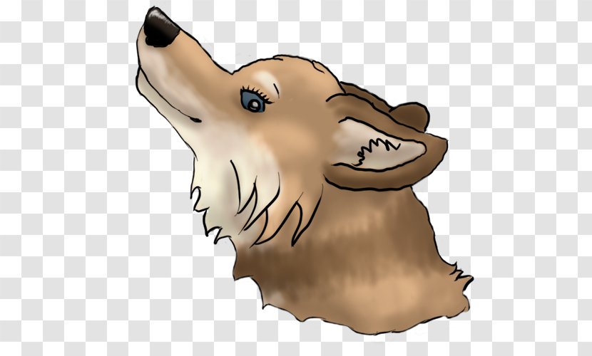 Dog Snout Bear Jaw Paw - Carnivoran Transparent PNG