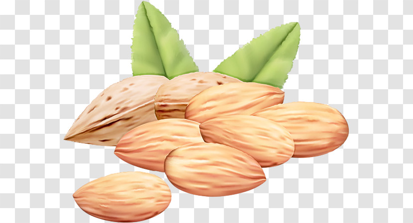 Vegetarian Cuisine Peanut Natural Food Nut Superfood Transparent PNG