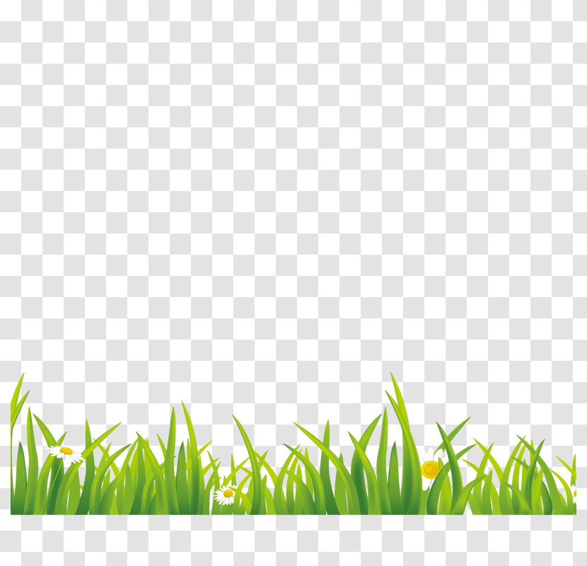 Green Gratis Euclidean Vector Grass - Meadow Transparent PNG