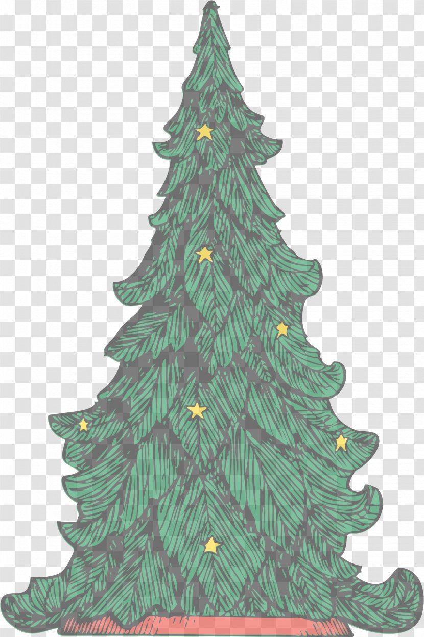 Christmas Tree - White Pine - Leaf Green Transparent PNG