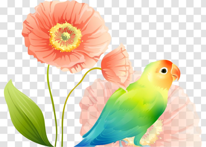Parrot Lovebird Wallpaper - Flower Transparent PNG