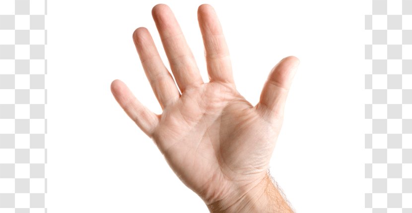 Hand Thumb Finger Toe Wrist - Fist - Hands Transparent PNG