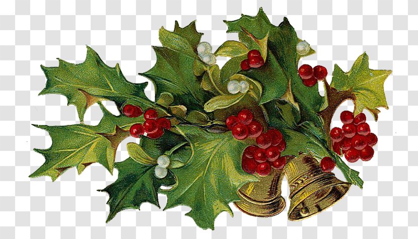 Christmas Clip Art - Holly Transparent PNG