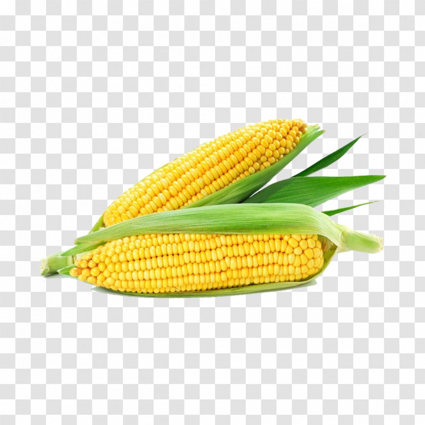 Corn On The Cob Maize Ear Corncob Cereal - Kernel - White Pull Away Transparent PNG