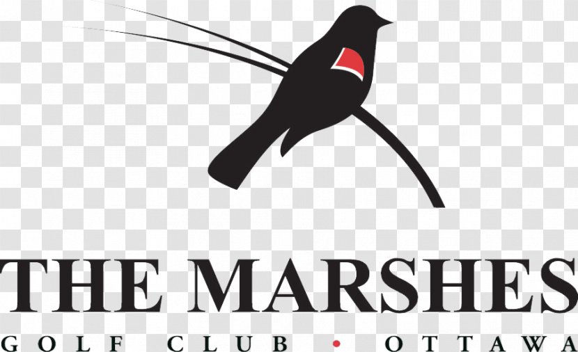 Beak Logo Marsh Brand Font - Line Transparent PNG