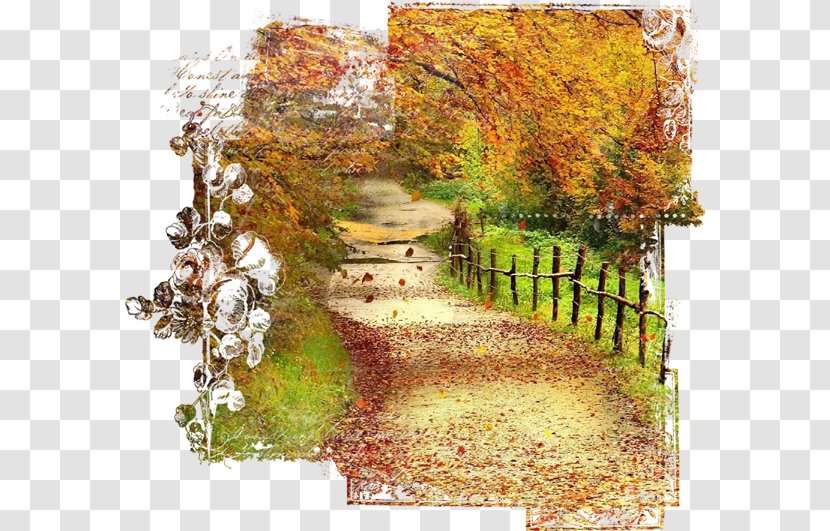 Desktop Wallpaper Nature - Art - Outono Transparent PNG