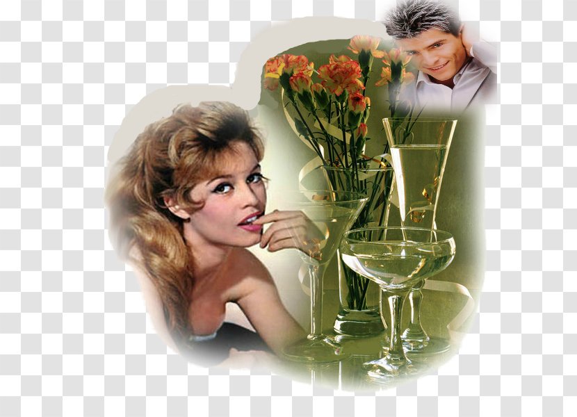 Love Author Твои глаза Greeting & Note Cards 0 - Anatolij Kudrjavcev - Brigitte Bardot Transparent PNG