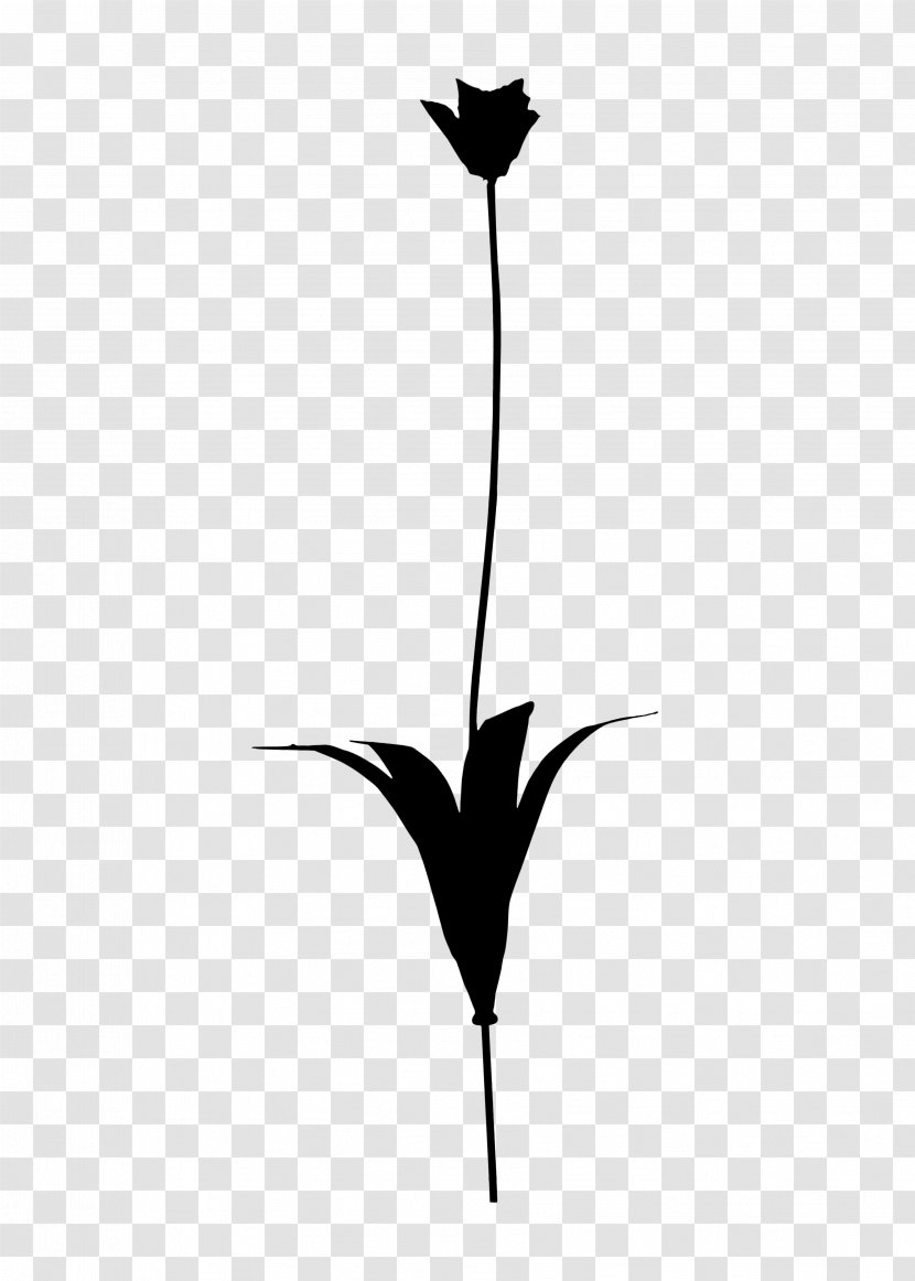 Twig Clip Art Plant Stem Flower Leaf - Blackandwhite Transparent PNG