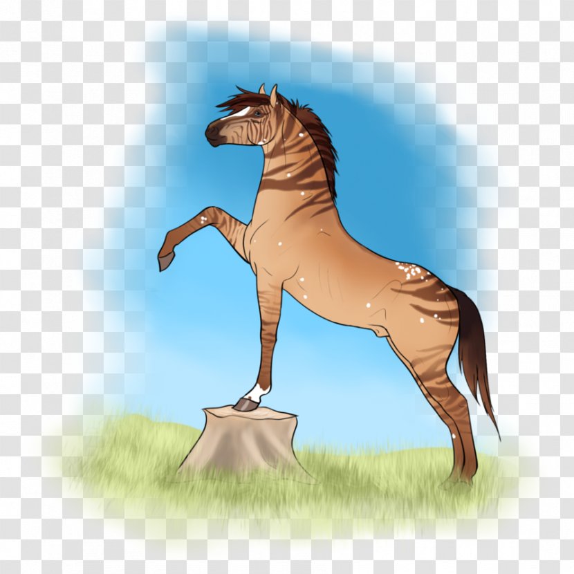 Mustang Foal Stallion Halter Fauna - Mounted Archery Training Transparent PNG
