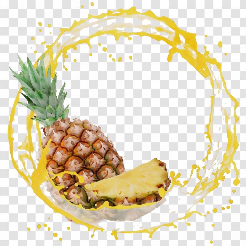 Pineapple - Watercolor - Pine Family Plant Transparent PNG
