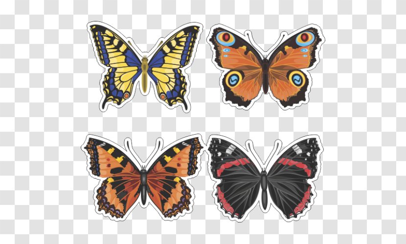 Butterfly Vector Graphics Stock Illustration Image - Insect Transparent PNG