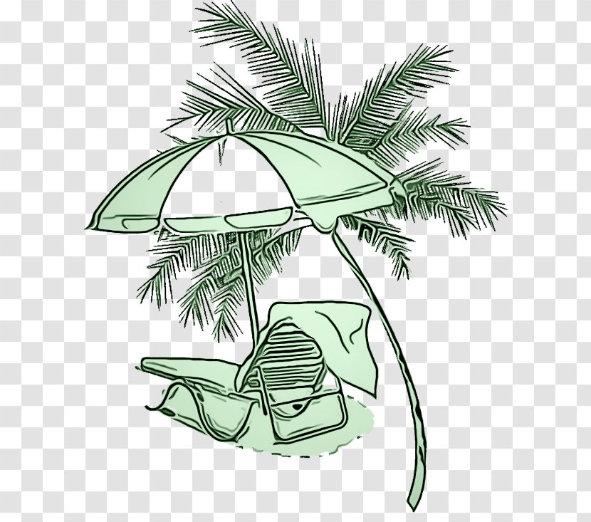 Palm Tree - Plant - Elaeis Woody Transparent PNG